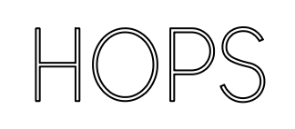 Omridsbillede