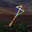 Kite mit Namen Heck Teil benutzerdefinierte LED -Neonzeichen