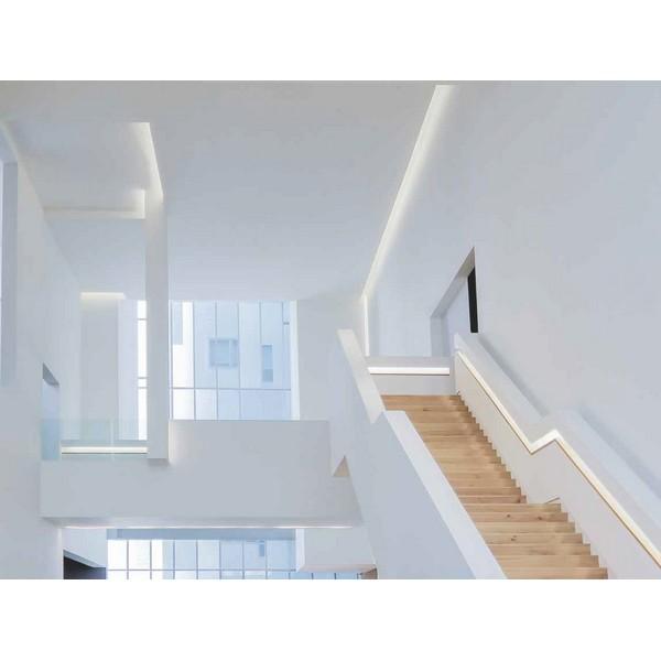 I LumoS 8x16mm PINK Flexible IP65 Dimmable LED Neon Strip Light 12V 9W/m - Planet Neon